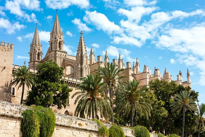 Palma tours with Cathedral and Valldemossa options - Timing and duration: why 7 to 9 hours can feel short