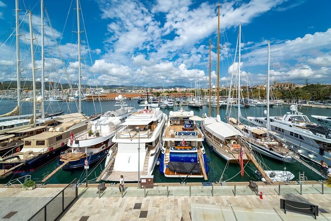 Palma tours with Cathedral and Valldemossa options - Price and value: $46.34 works best when you use the included parts