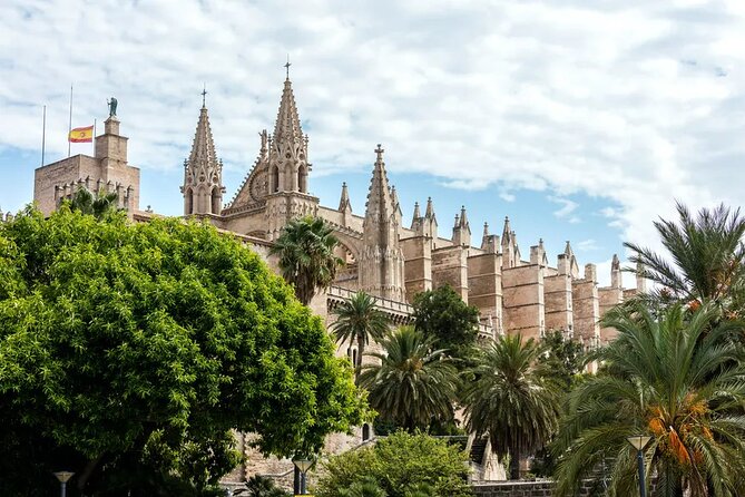 Palma tours with Cathedral and Valldemossa options - The small stuff that makes the day smoother