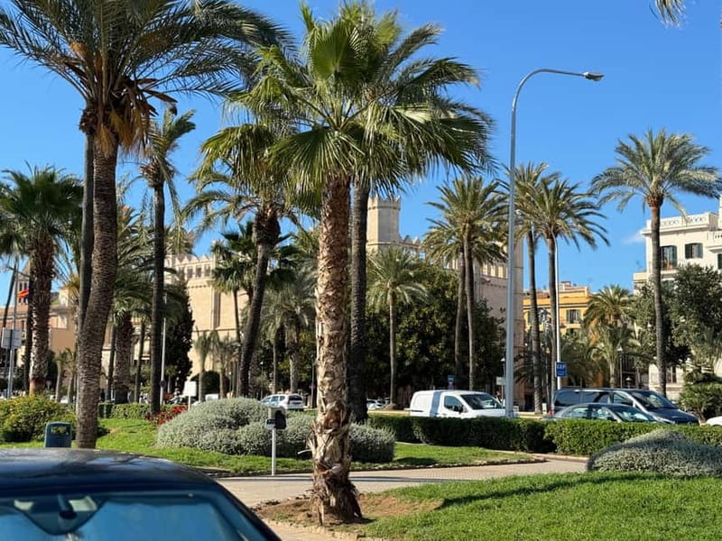 Palma, up close and personal, away from the crowds - Price and value: what $46 buys you in real terms