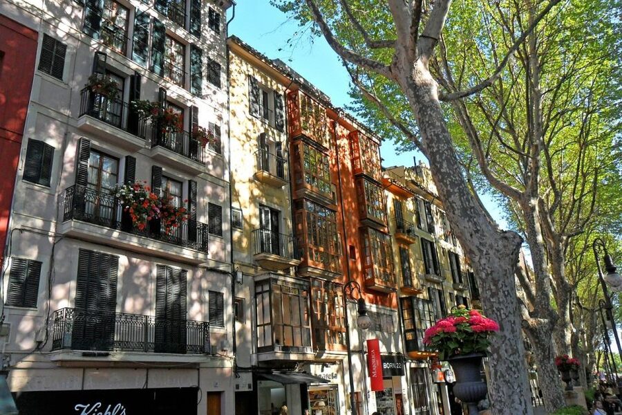 Palma: Walking Tour with Mediterranean Delicacies - Guide quality matters: what I’d watch for before you book