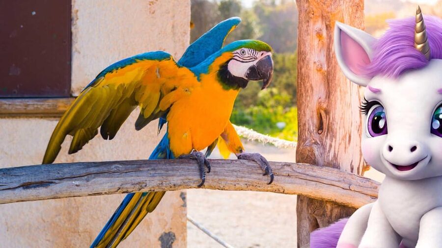 Palmanova: The lovely Magical Creatures, family and fun game - Instructor support and the private group feel