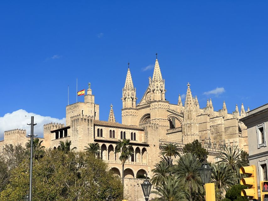 Palmas sightseeing highlights in a private and exclusive way - From Royal Gardens to kings: how the tour sets the timeline