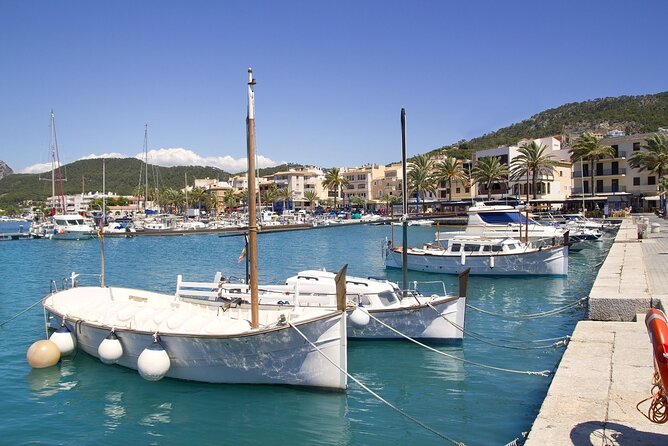 Paradise 4h Catamaran Tour of Mallorca and Puerto Andratx - Camp de Mar second swim: clean water, then a calm return