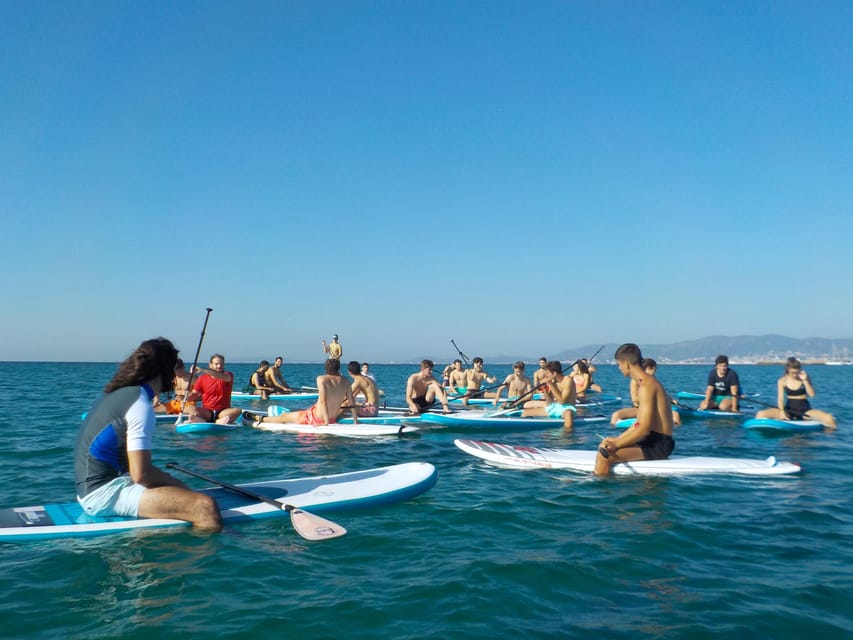 Playa Palma: Stand-up Paddleboard Rental - Water rules you should read before you go