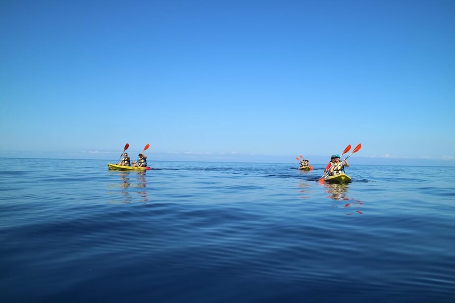 Pollença: Kayak and Coasteering Cliff Jumping - Cliff jumping, snorkeling, and deep water soloing: adrenaline with structure