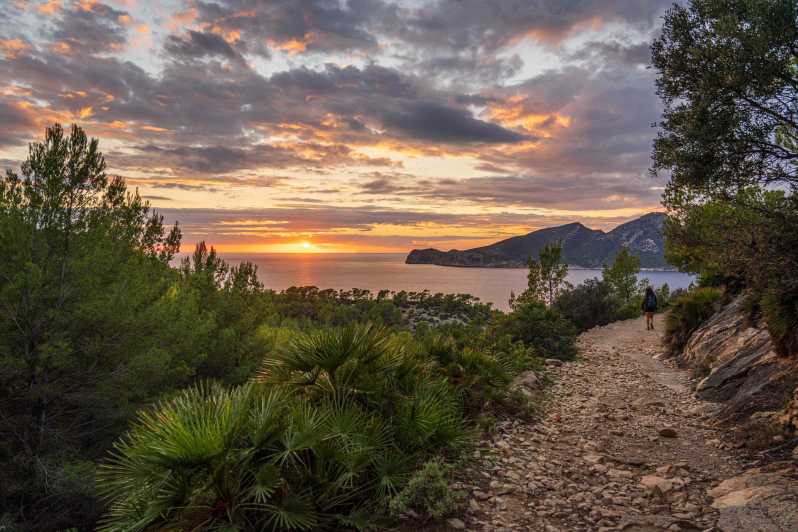 Port Andratx: Guided hiking tour into the sunset to Sant Elm - Sunset Hike Basics: Why This Route Works So Well