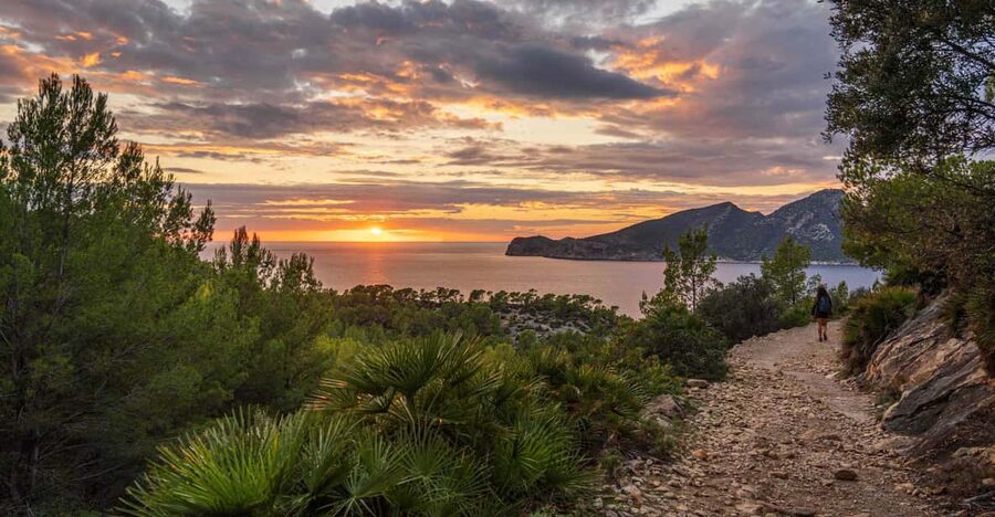 Port Andratx: Guided hiking tour into the sunset to Sant Elm - From Avinguda de Gabriel Roca i Garcías to Cap Vermell Viewpoints