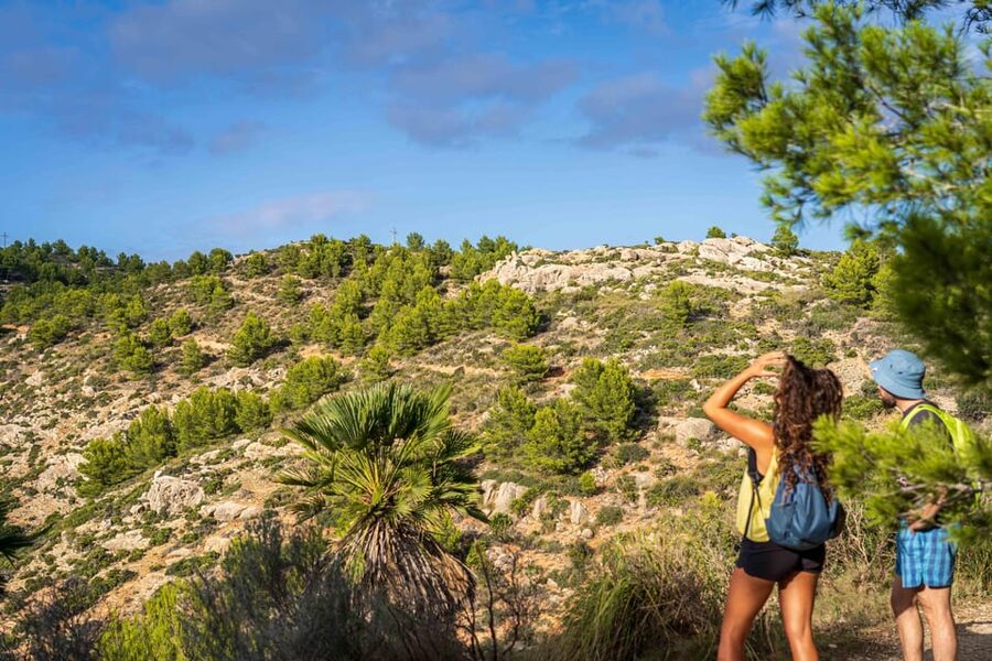 Port Andratx: Guided hiking tour into the sunset to Sant Elm - The Picnic Viewpoint at Sunset: Majorcan Tapas, Drinks, and Real Payoff