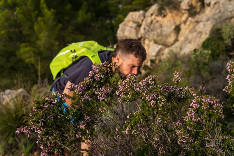 Port Andratx: Guided hiking tour into the sunset to Sant Elm - Price and Value: Why About $93 Can Make Sense