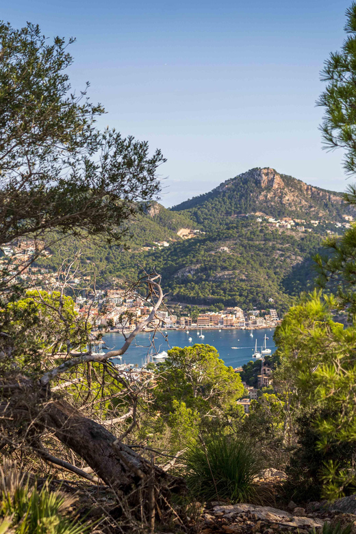 Port Andratx: Guided hiking tour into the sunset to Sant Elm - What to Bring for a Comfortable 4.5 Hours on the Coast