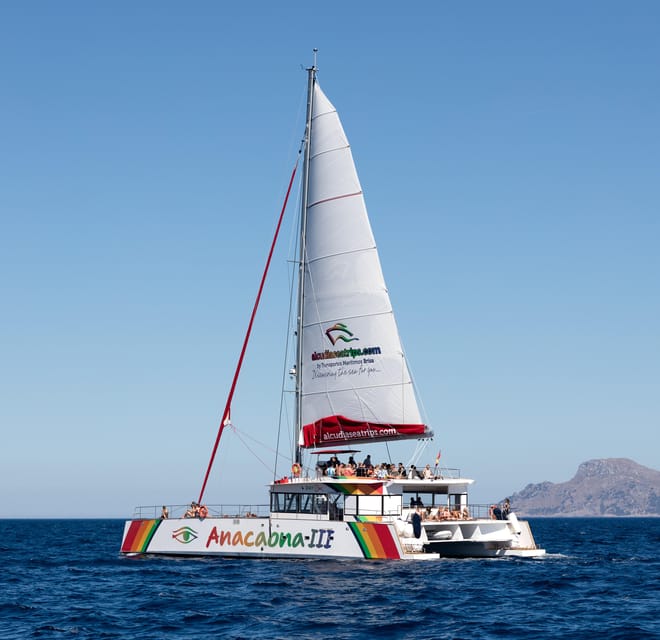 Port d'Alcudia: North Coast Catamaran Cruise with Meal - Drinks, Music, and the Overall On-Board Vibe