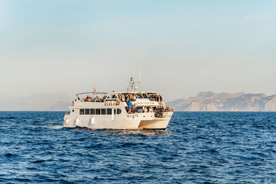 Port d'Alcudia: Sunrise at Sea & Dolphin Watching Boat Tour - Key points before you go