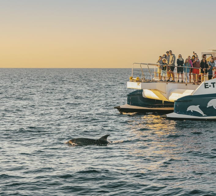 Port d'Alcudia: Sunrise at Sea & Dolphin Watching Boat Tour - Sunrise at Sea From Port d’Alcúdia, Built for One Perfect Hour