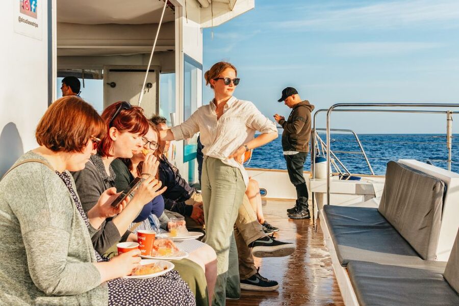 Port d'Alcudia: Sunrise at Sea & Dolphin Watching Boat Tour - How the 3 Hours Actually Flow: From Catamaran Cruise to Dolphin Spotting