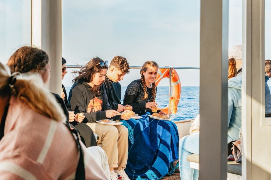 Port d'Alcudia: Sunrise at Sea & Dolphin Watching Boat Tour - Who This Tour Fits Best, and Who Should Skip