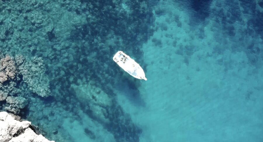 Port de Sóller: Snorkeling Tour with Professional Guide - Morning (4 hours), afternoon (2 hours), or sunset (3 hours): how timing changes everything