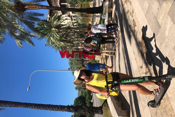 Premium electric Scooter rental with optional delivery - How Delivery and Cruise Terminal Options Change Your Day