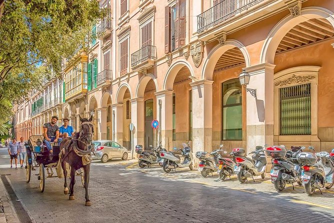 Private 4-hour tour of Palma de Mallorca w/ driver & guide (Hotel/port pick up) - Stop 2: Palau de l’Almudaina Outside Views and Royal Walls