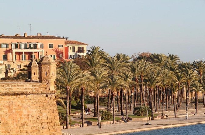 Private 4-hour tour of Palma de Mallorca w/ driver & guide (Hotel/port pick up) - Stop 3: Ajuntament de Palma for a Quick Read of the City