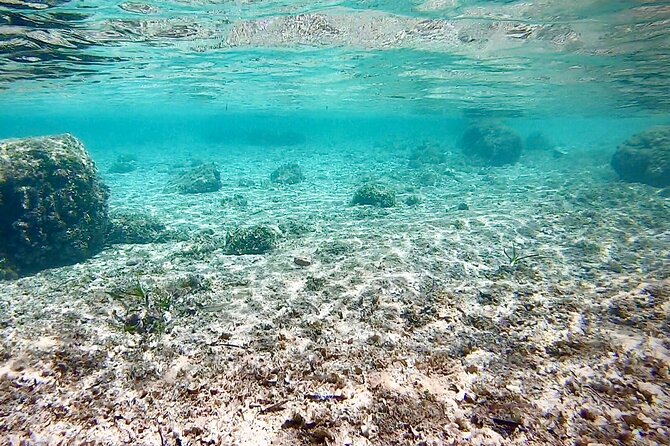 Private Boat Tour from Palma with Snorkeling and Paddle Surfing - Photo-friendly stops with fewer crowds (and why that matters)
