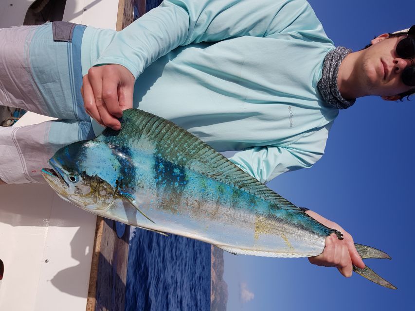 Private Fishing Charter Mallorca - Price and Value for Up to 10 People