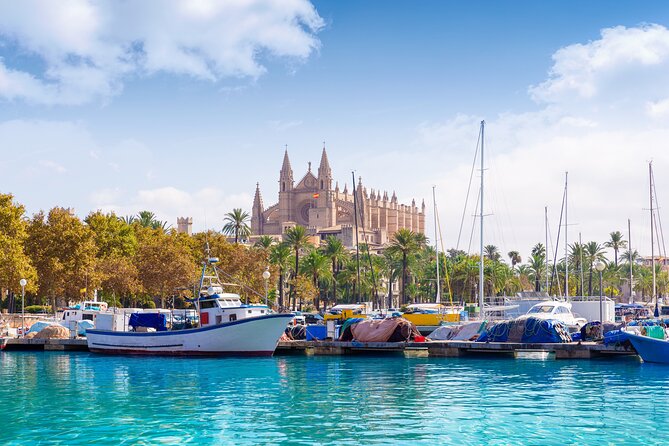 Private Shore Excursion to Valldemossa and Palma de Mallorca - Key highlights you will actually feel during the day