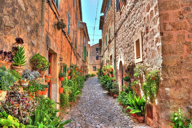 Private Shore Excursion to Valldemossa and Palma de Mallorca - Comfort and guide quality, the difference between a good and great day