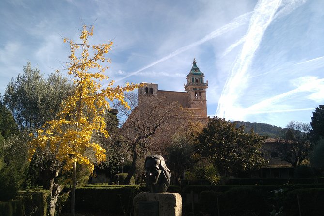 Private tour for my family from a cruise - Valldemossa Charterhouse: Chopin’s cell, slow monastery time, and a short walk