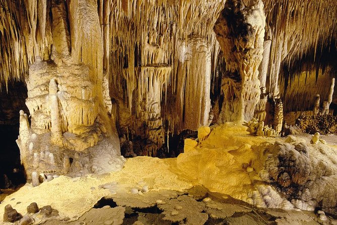 Private Tour: Mallorca Caves of Drach and Majorica Pearl Factory - Cuevas del Drach: what to expect underground