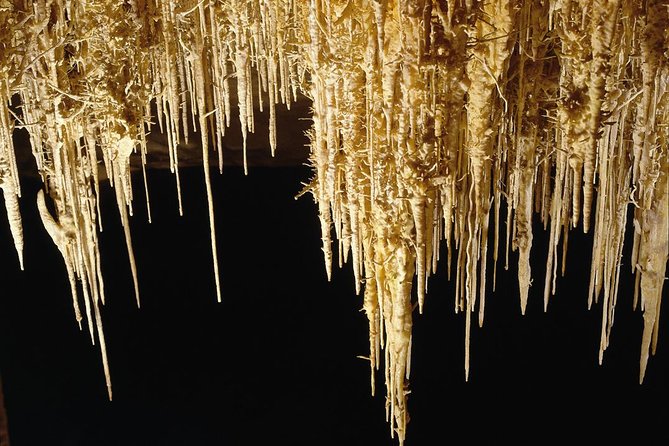 Private Tour: Mallorca Caves of Drach and Majorica Pearl Factory - Porto Cristo: use it to reset your day