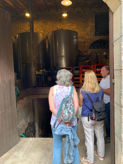 Private tour: Wine tasting, experience real Mallorca - The estate walk: where winemaking becomes real
