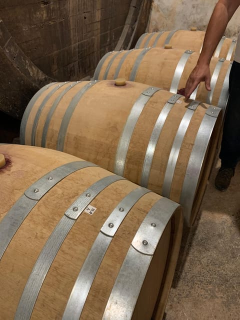 Private tour: Wine tasting, experience real Mallorca - Starting at Plaza España, then leaving Palma behind