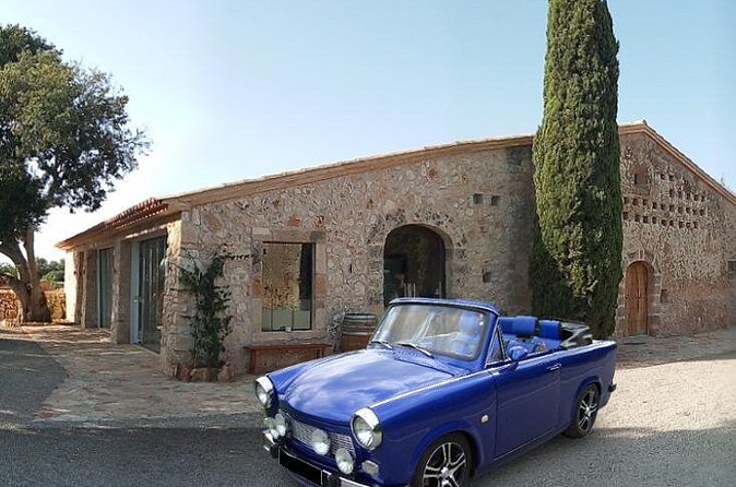 Private Trabant Cabrio Tour in Mallorca Including Wine Sampling - Olive farm and island agriculture: why this stop feels different