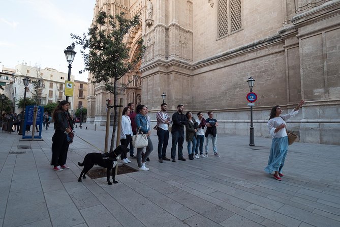 Private walking tour in Palma de Mallorca with local guides. - Patio Mallorquín stops: Ca’n Oms, Can Bordils, and the pause that makes Palma feel local