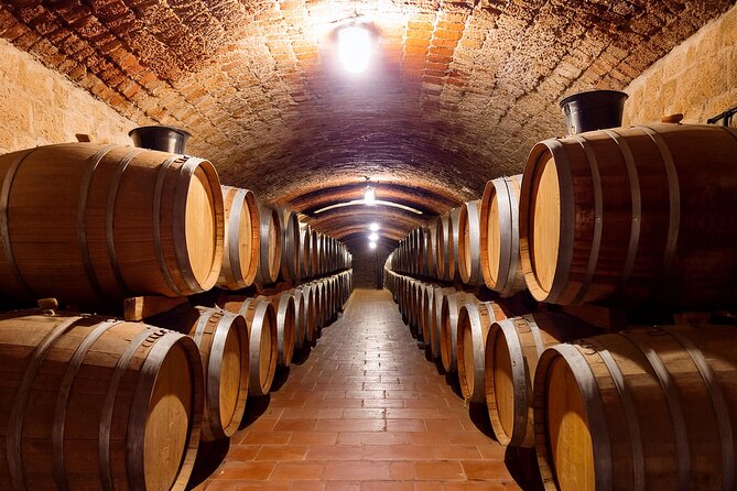 Private Wine and Local Flavors Tour from Palma de Mallorca - Key highlights you should know