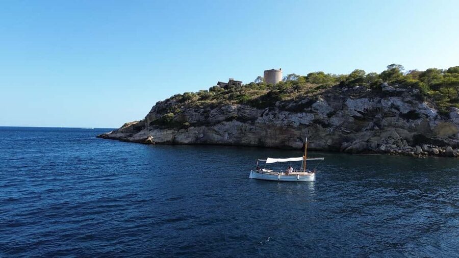 Puerto Portals: 100% electric Mallorcan boat tour with a professional skipper - Meeting at Tutti Sensi Portals, Berth 510 (then walking into Puerto Portals)