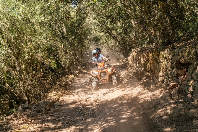 Quad Bike / ATV Tour - Price and Value: Is About $114.93 Worth It?