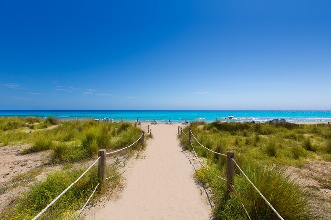 Round Trip Fast Ferry from Alcudia Mallorca to Menorca - Who this is best for (and who should reconsider)