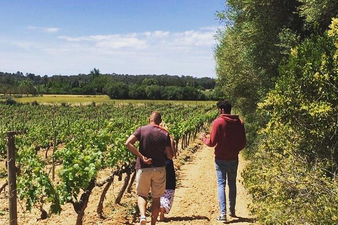 Sa Clasta Mallorca Wine Tours - The 9:00 am start and the 6-hour day flow