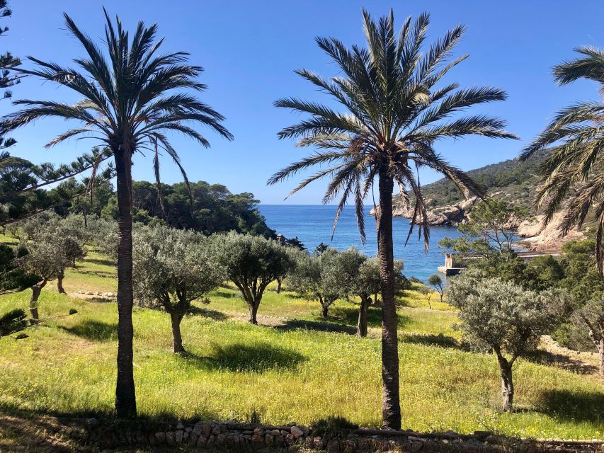 Sant Elm: Guided kayak tour to the island Dragonera - The paddle reality: manageable effort with normal fitness