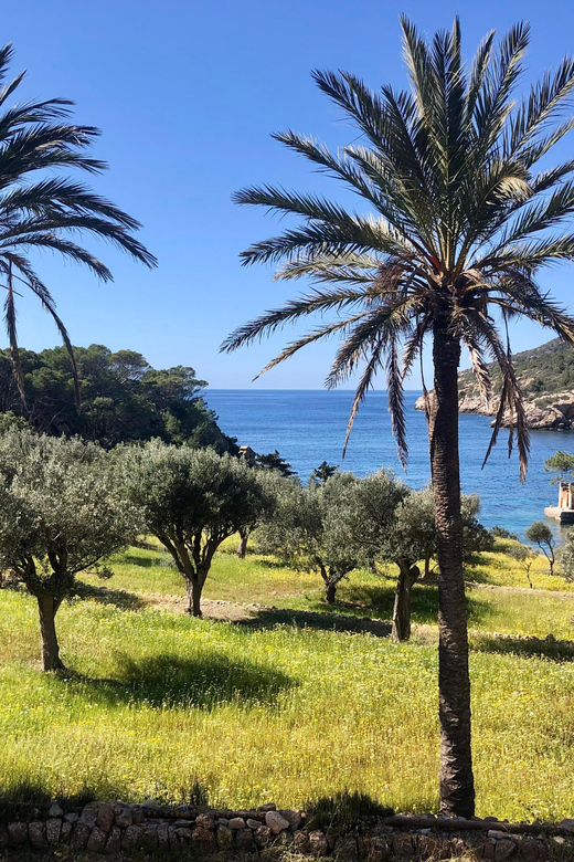 Sant Elm: Guided kayak tour to the Island Dragonera & Hiking - Kept Small, Kept Moving: The Real Spirit of the Sant Elm Kayak and Hike