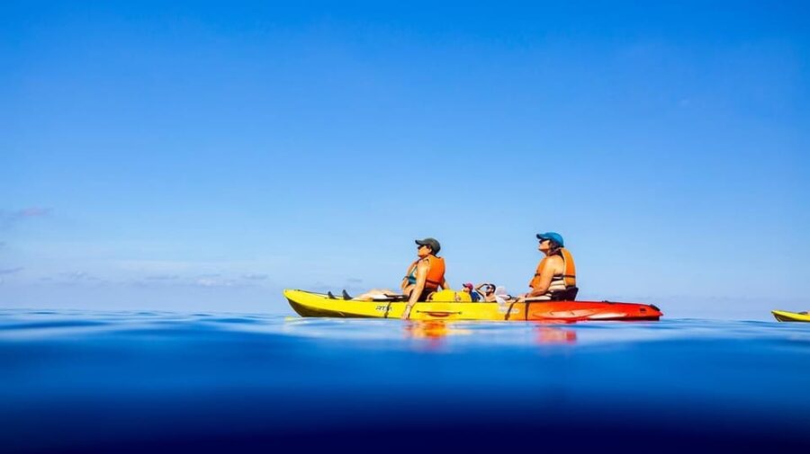 Sant Elm: Guided kayak tour to the Island Dragonera & Hiking - Guide Matters: What Makes the Experience Feel Personal