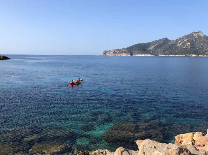 Sant Elm: Guided kayak tour to the Island Dragonera & Hiking - Key Points You Should Know Before You Go