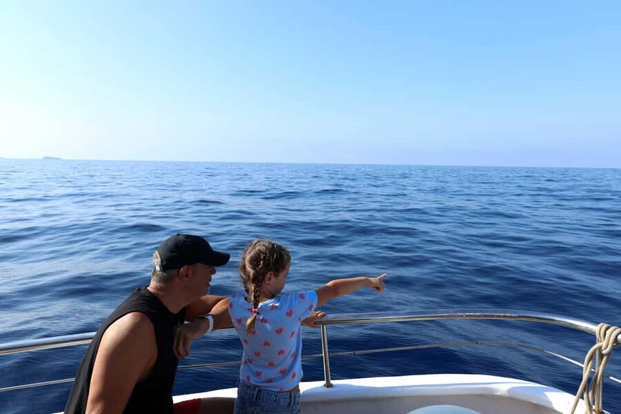 Santa Ponsa: Dolphin Watching Cruise - Price and value: why $41 often feels fair here