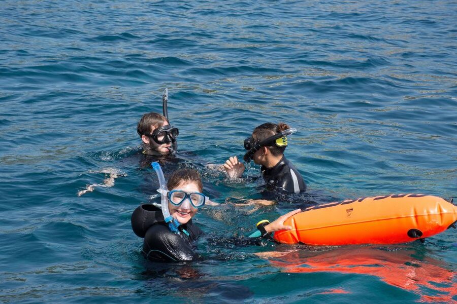 Santa Ponsa: Snorkeling Tour in a Marine Reserve - Who should book this, and who should skip it