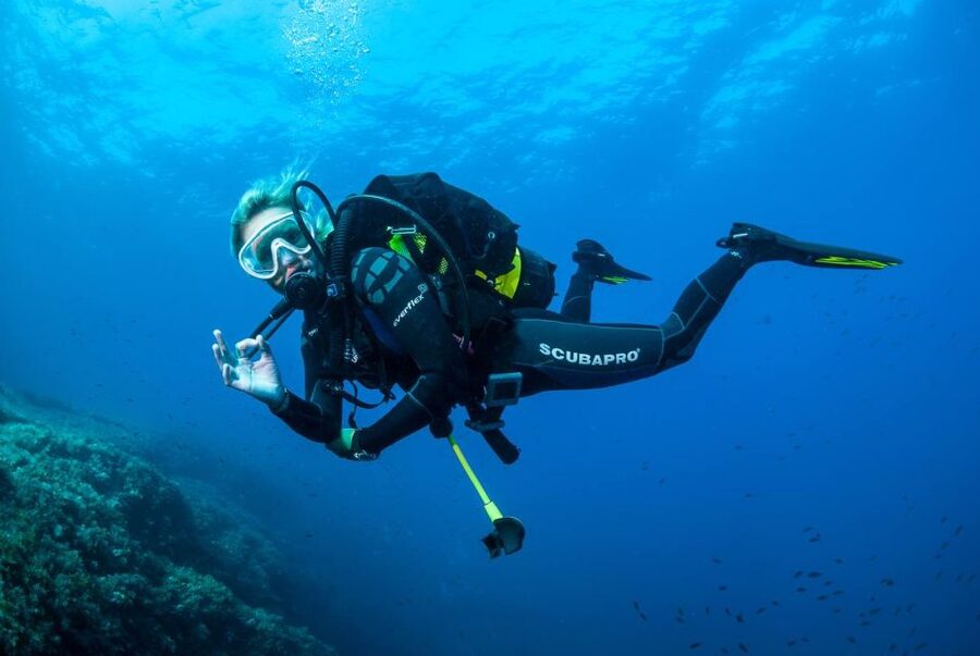 Santa Ponsa: Try Scuba Diving in a Marine Reserve - Price and value: what $130 really buys you
