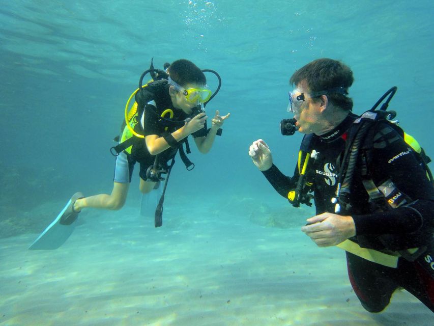 Santa Ponsa: Try Scuba Diving in a Marine Reserve - Who should book, and who should skip
