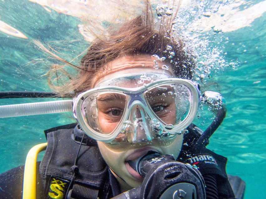 Santa Ponsa: Try Scuba Diving in a Marine Reserve - Pickup, van ride, and the safety briefing that keeps things calm