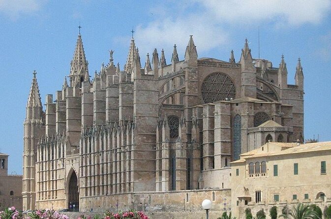 Segway Tour 1 Hour in Palma - Why Palma Old Town Moves Better on a Segway
